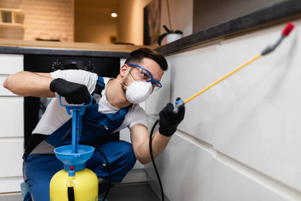 Best Pest Control Near Me  in Decherd, TN