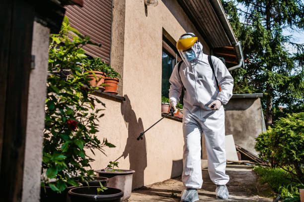 Best Residential Pest Control  in Decherd, TN