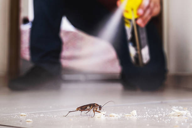 Best Residential Pest Control  in Decherd, TN