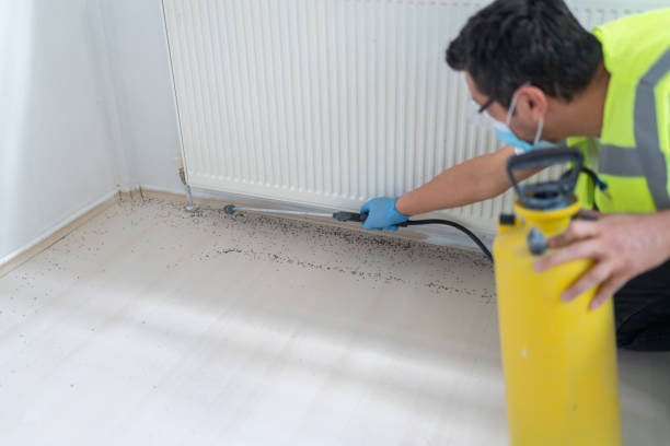 Best Cockroach Control Services  in Decherd, TN